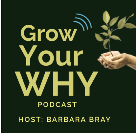 c08e1bd6-a996-45bf-9385-595af6b1c6bb