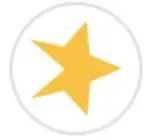 Yellow star icon in a circle