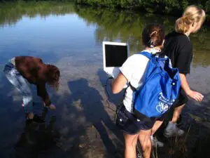 Abstract figure with graduation cap symbolizing education and achievement.
