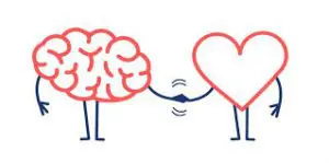 Brain and heart shaking hands illustration