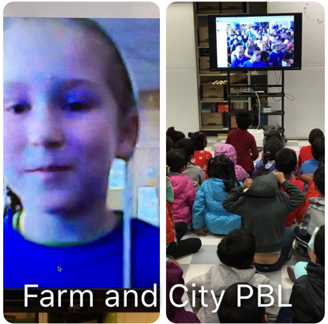 Farm and City PBL