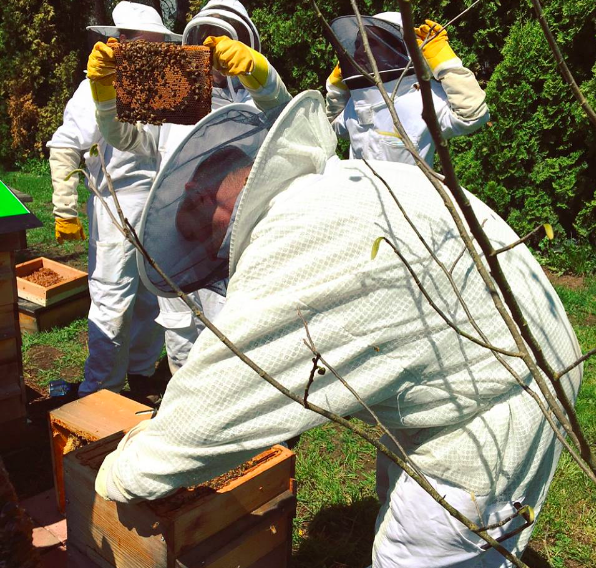 Andrew Bray demo of Beekeeping