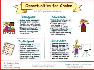 Opportunities for Choice - (Bray) 2018