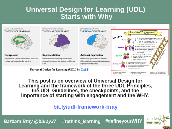 Universal Design For Learning Guidelines Chart