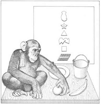 Teaching Language to an Ape