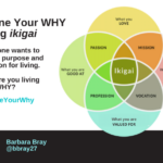 Defining Your WHY using ikigai