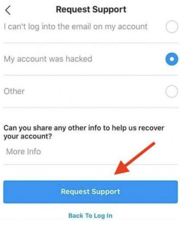 Request Support from IG