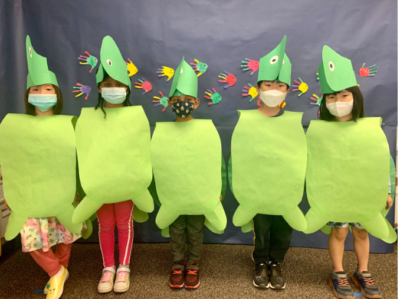 Kindergarten Sea Turtles for Sea Animal PBL