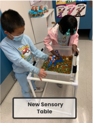 New Sensory Table for Sea Animal PBL