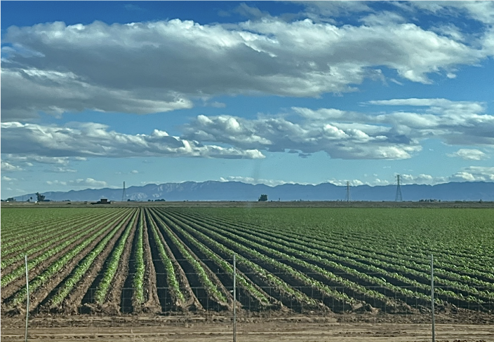 The original owners of the valley have known how to find water