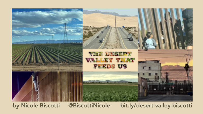 The Desert Valley That Feeds Us by Nicole Biscotti