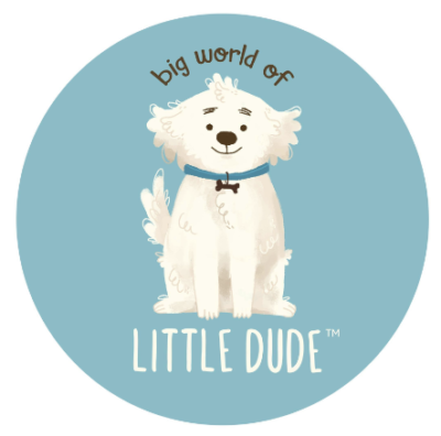 Little Dude logo