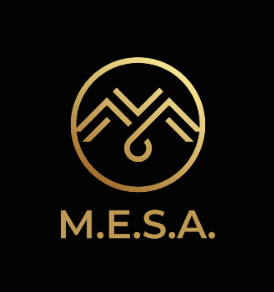 M.E.S.A. Logo