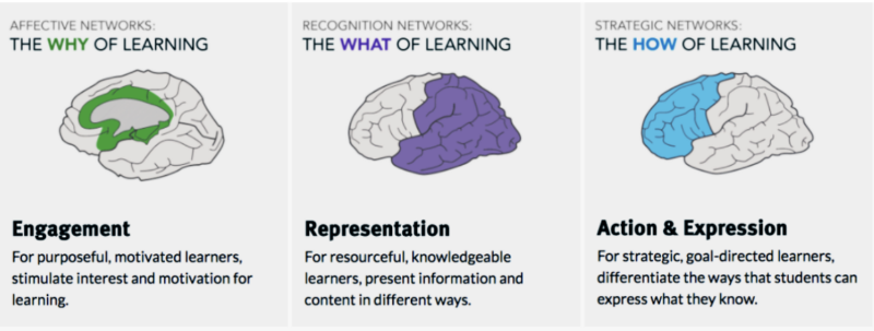 Universal Design for Learning (UDL) Principles
