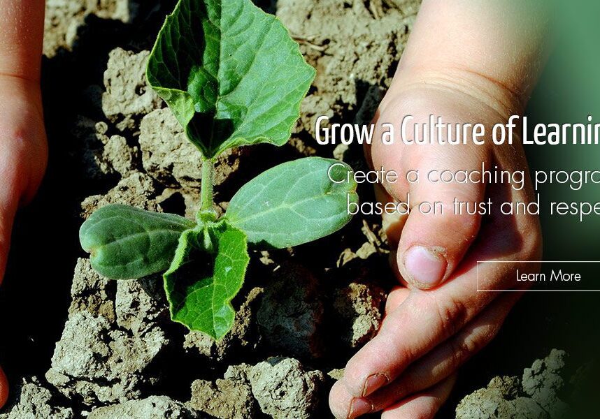 Seedling in dry soil with hands