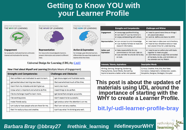 UDL learner profile infographic about learning preferences