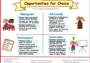 Opportunities for choice in education