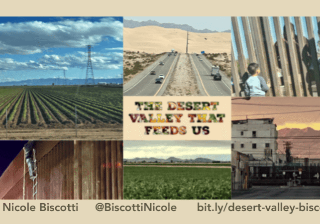 Agricultural fields, desert road, and border wall