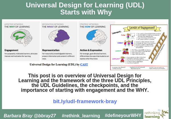 Universal Design for Learning overview infographic