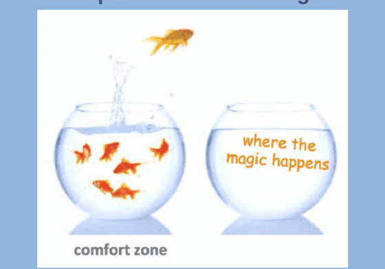 Goldfish jumping from comfort zone to magic