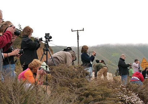 Group with cameras in hills