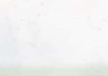 Soft pastel leaves on white background