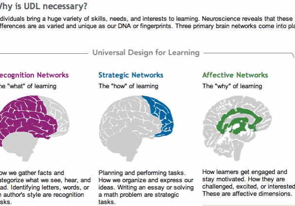 Recognition, Strategic, Affective learning networks
