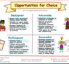 Opportunities for Choice: The Learning Path to Advocacy and Innovation