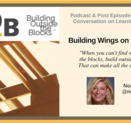 Episode #7: Building Wings on the Way with Noa Daniel