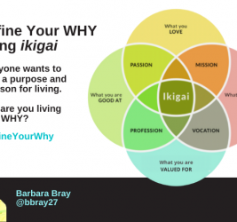 Defining Your WHY using ikigai