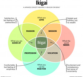 Ikigai: Your Purpose and Reason for Being